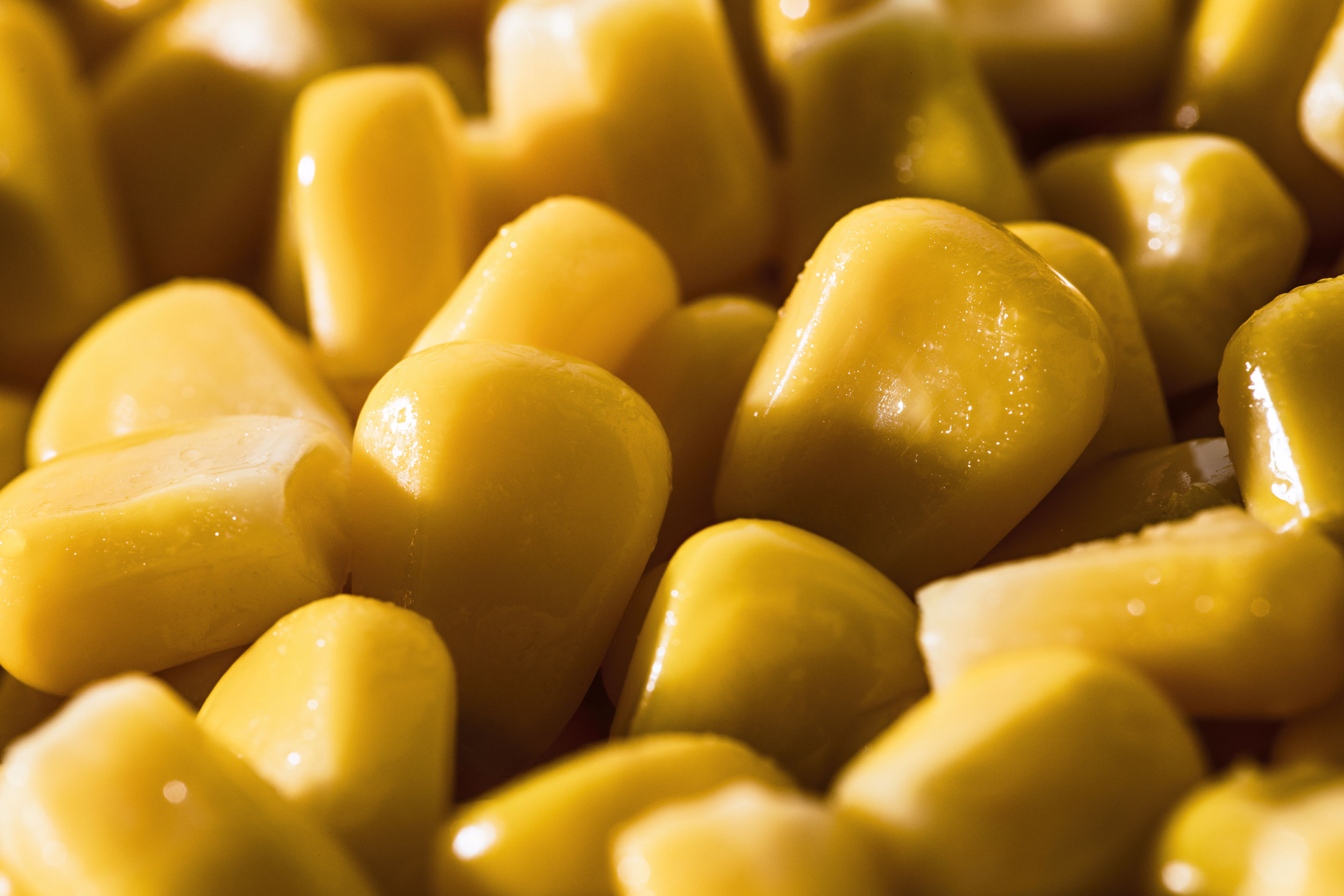 Morzsolt csemegekukorica