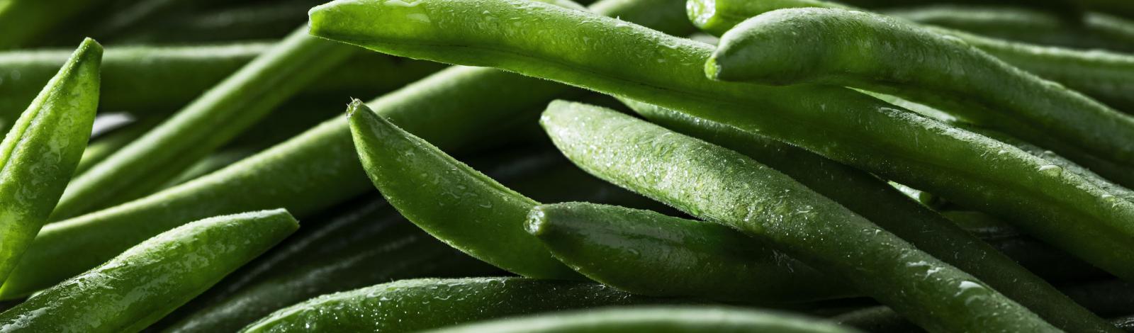 Haricots verts extra-fins Minute ® Haricots verts extra-fins Minute ®