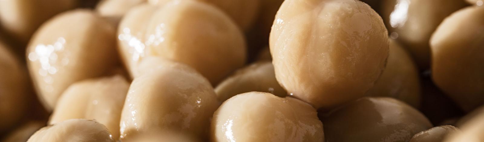 Pois chiches SOUS-VIDE Pois chiches SOUS-VIDE